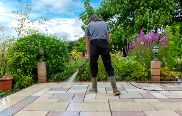 Best Animal Enclosure Cleaning  in Roundup, MT